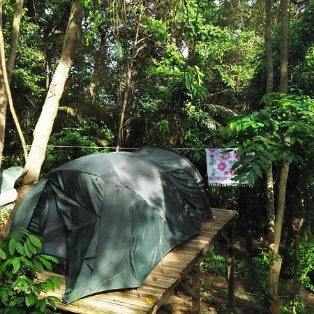 ホテルOrang Hutan Camping プルフンティアン島 エクステリア 写真