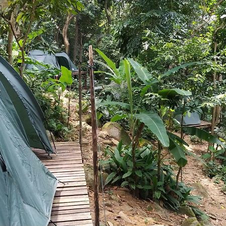 ホテルOrang Hutan Camping プルフンティアン島 エクステリア 写真