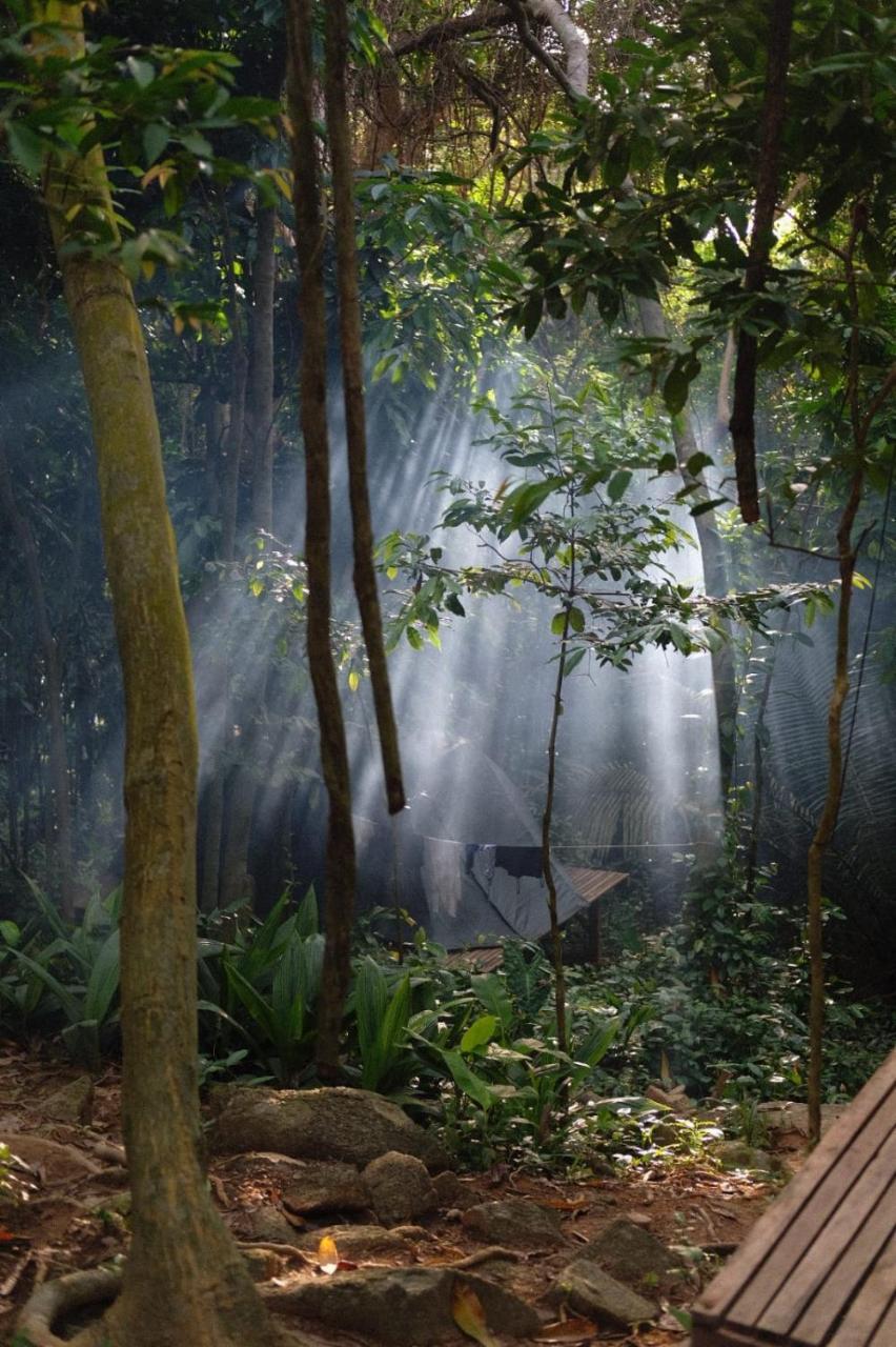 ホテルOrang Hutan Camping プルフンティアン島 エクステリア 写真