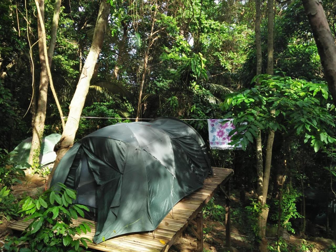 ホテルOrang Hutan Camping プルフンティアン島 エクステリア 写真