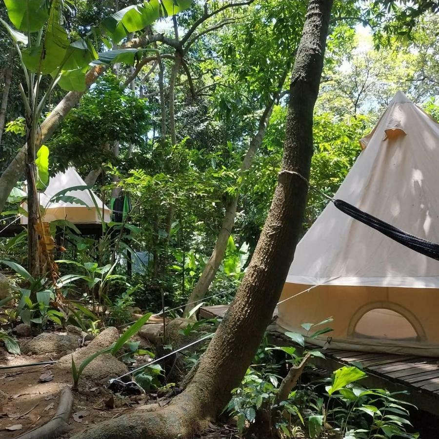 ホテルOrang Hutan Camping プルフンティアン島 部屋 写真